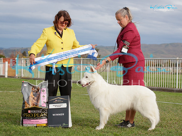 KB019219