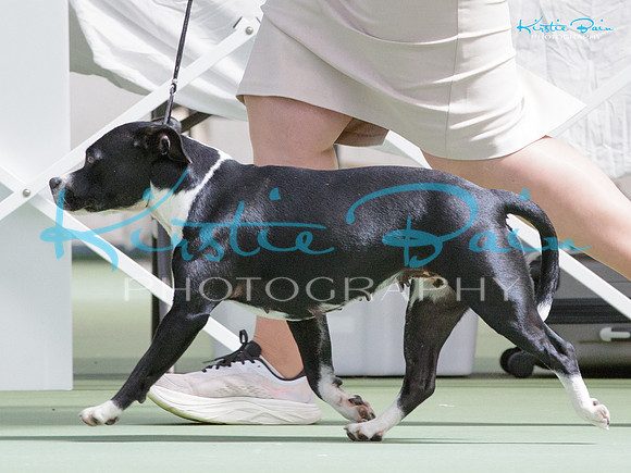 KB019748