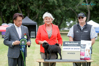 KB015329