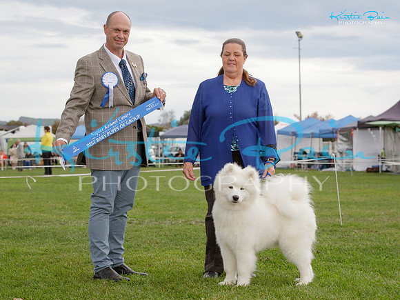 KB018137