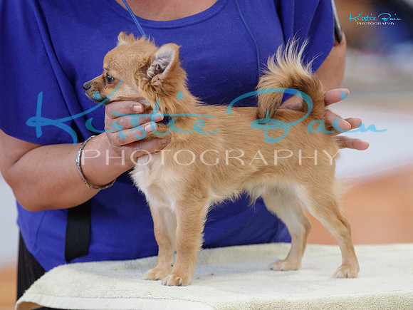 KBP23159