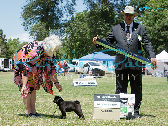 KB015828