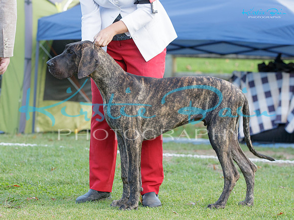 KB014275