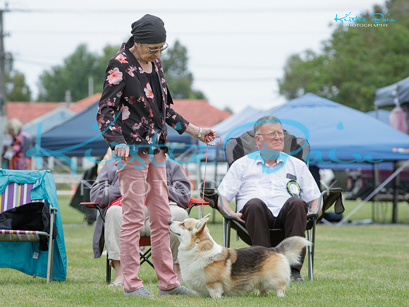 KB015224