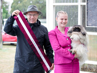 Best in Show
