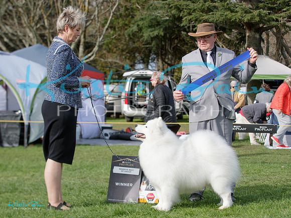 KBP27365