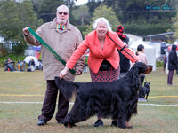 Gundogs
