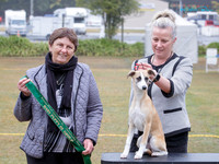 KB019461