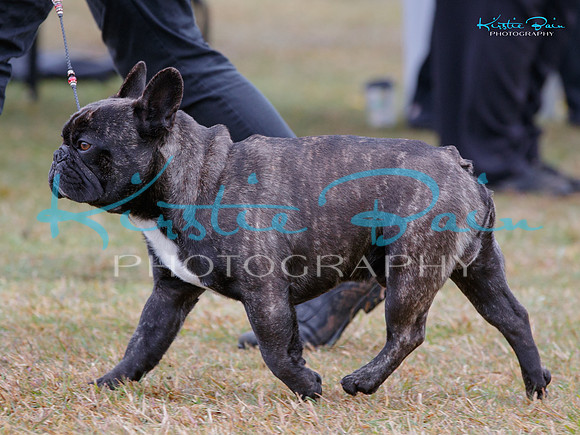 KB019705