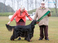 Best in Show