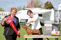 Auckland Dachshund Club