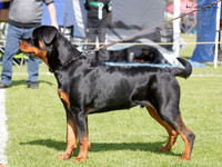 KBP21140