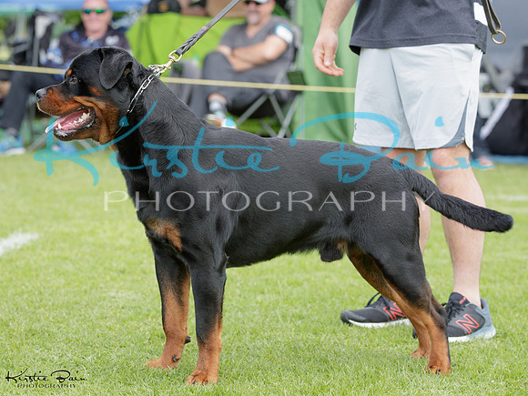 KBP21476