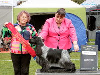 Gundogs