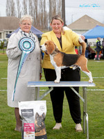 Best in Show
