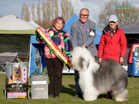 Best in Show