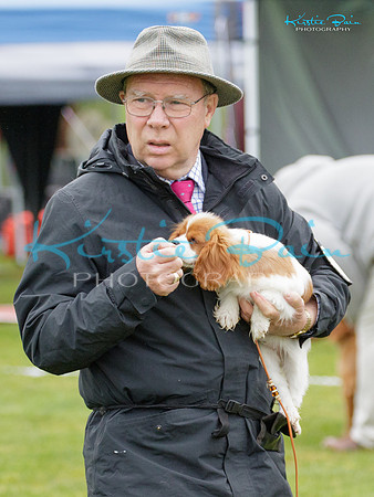 KBS16657