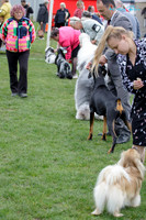 Huntly & Districts Kennel Association