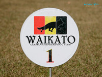 Waikato German Shepherd Dog Club