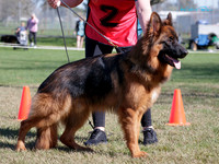KB011862