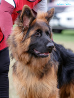 KB012679