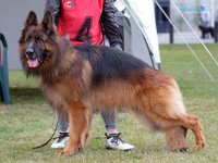 KB012746