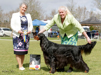 Gundogs