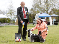 Best in Show