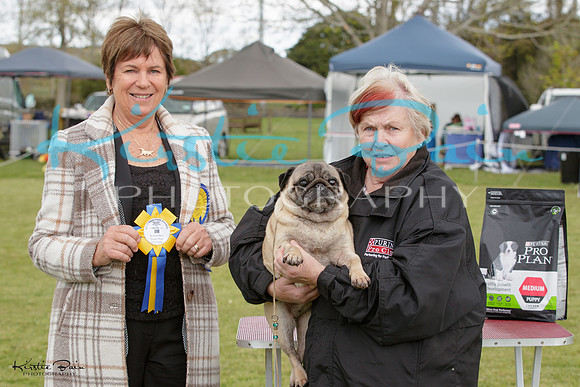 KBP23943
