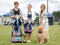 Best in Show