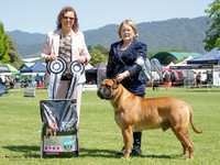 Championship Show