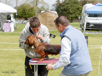 KBP23461