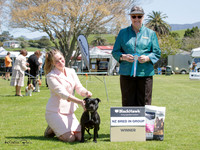 KBP26477