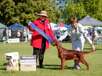 KBP26709