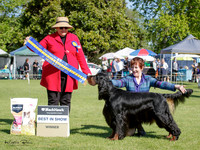 Bay of Plenty Gundog Show Society