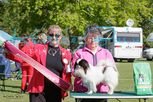 KBP26806