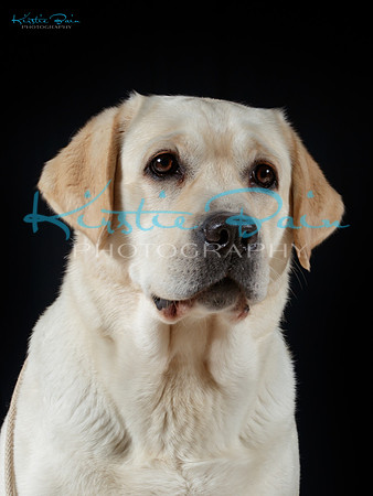 KB012400