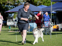 Great Northern Siberian Husky Club