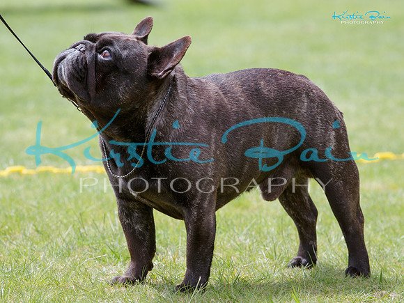 KB013881