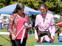 KBP28531