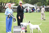 Best in Show