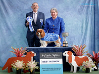 Best in Show