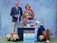 Best in Show