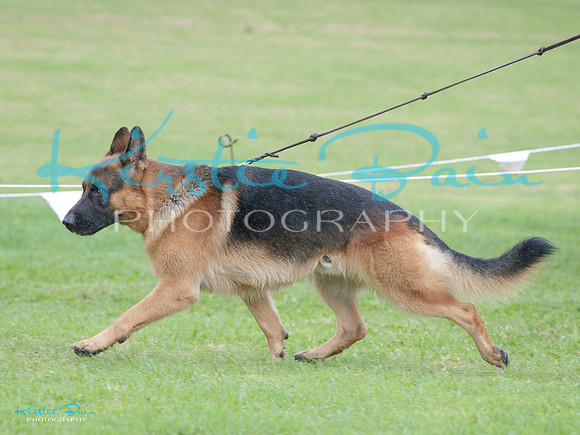 KBP29050