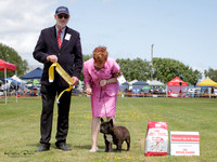 KBP20930
