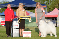 Pencarrow Kennel Association