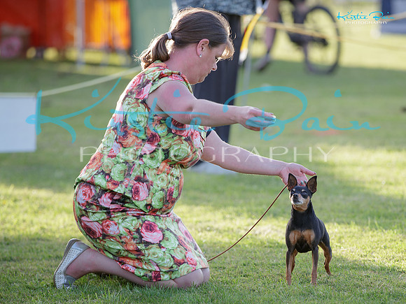 KBP22415