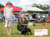 KBP22680