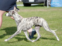 KBP23824