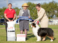 Best in Show